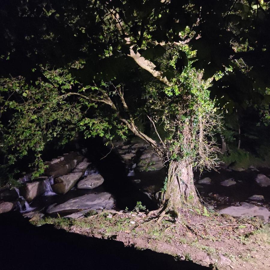 Aranguren Haraneko Errotaアパートメント エクステリア 写真